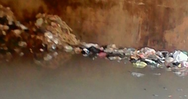 صحافة المواطن: تراكم القمامة ومياه الصرف أسفل كوبرى الدائرى بمنشية البكارى