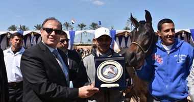 بالصور.. محافظ البحيرة يشهد فعاليات مهرجان الخيول العربية الأصيلة