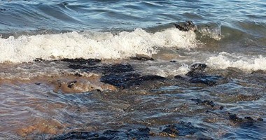 تلوث بترولى على شواطئ رأس غارب فى البحر الأحمر بمساحة 1000 متر