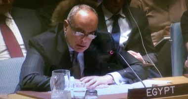 مندوب مصر أمام مجلس الأمن: فاتورة مأساة سوريا لا يتحملها سوى الشعب السورى