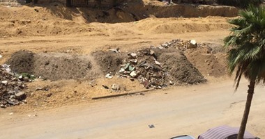 صحافة المواطن: قطع الأشجار وانتشار القمامة بمنطقة أبراج طيبة فى زهراء المعادى