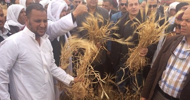 وزير الزراعة: 8 ملايين طن إنتاج متوقع للقمح.. و"الخير قادم على يد السيسى"