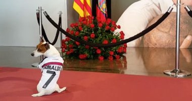 بالفيديو.. كلب "رونالدو" يُثير الغضب فى مزار كرويف بملعب برشلونة