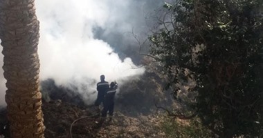 السيطرة على حريق محدود فى زراعات الهيش خلف مستشفى حميات أسوان