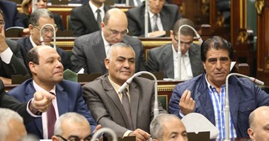 صابر عمار: فصل "مى محمود" من المصريين الأحرار لا يؤثر على عضويتها فى البرلمان