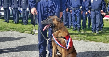 الشرطة الفرنسية تكرم أفضل "كلب بوليسى" بميدالية ووسام شرف عسكرى