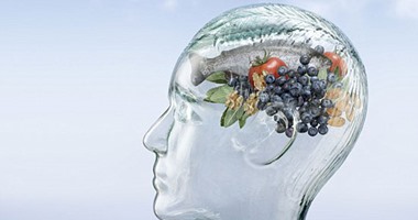 أبحاث طبية: المراكز المسئولة عن الذاكرة فى المخ تفقد الترابط مع التقدم فى العمر
