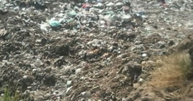 "صحافة المواطن".. موظفى قرية " الحوطا" بأسيوط يجمعون القمامة ويلقونها بنهر النيل