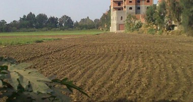 صحافة المواطن: أهالى قرية كفر خضير يستغيثون من تجريف الأراضى الزراعية