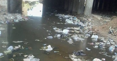 صحافة المواطن.. بالصور: مياه الصرف الصحى تغطى "ملقة الفول" و"رشاح عنانى" بالمرج