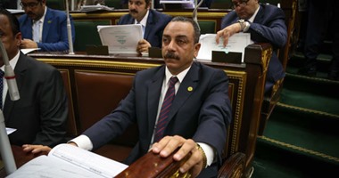 إيهاب الطماوى: وزارة الداخلية أعادت الأمن وحافظت على حقوق الإنسان