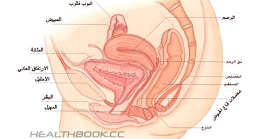 أهم تأثيرات وأعراض الإصابة ببطانة الرحم المهاجرة
