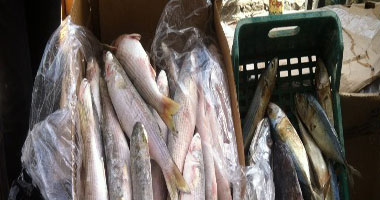 ضبط كميات من الأسماك غير صالحة للاستهلاك الآدمى فى الإسكندرية