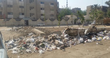 بالصور.. مستشفيات الغلابة خارج نطاق الخدمة.. محيط مستشفى الصدر بالجيزة "جنينة ولا مقلب قمامة".. المرضى: "بنيجى نتعالج نلاقى الزبالة فى كل مكان".. والمحافظ يتفرغ للأحياء الراقية وآخرها الدقى والعجوزة