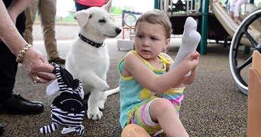 بالصور..مستشفى أمريكى يهدى طفلة مبتورة القدمين كلبا بدون قدم تضامنا معها