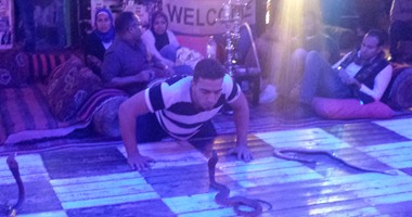 الرقص مع الكوبرا.. محمد "مهراجا" مصرى احترف مصارعة ثعابين الكوبرا السامة