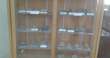 بالصور.. متحف للحفريات والمعادن النفيسة بقسم الجيولوجيا بـ"علوم عين شمس"