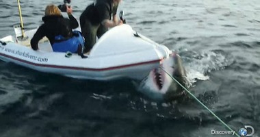 كواليس تصوير فيلم وثائقى يتعرض أبطاله لهجمات القرش