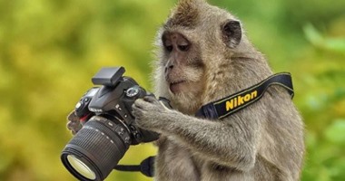 لقطات رائعة لحيوانات تقف خلف الكاميرا.. اضحك الصورة تطلع حلوة