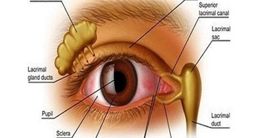 وصفة طبيعية تحسن الرؤية وتساعد فى علاج قصر النظر