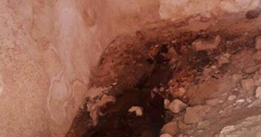ننشر صور المقبرة التى اكتشفها عمال المقاولون العرب بمينا البصل