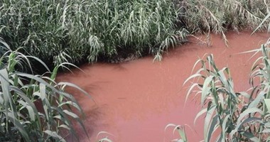 وزارة الرى: تشكيل مجلس للمياه فى قويسنا لإيجاد حلول لتلوث مصرف الخضراوية