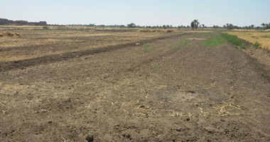 صحافة المواطن.. بالصور.. جفاف أراضى زراعية بسبب نقص مياه الرى بقرية بالفيوم