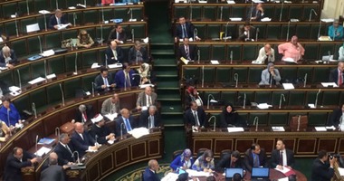 العلاقات الخارجية بالبرلمان:ندرس تشريعات جديدة تتعلق بسفر المصريين للخارج