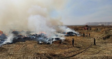 بالصور.. السيطرة على حريق بوص مصنع الأخشاب بالمنطقة الصناعية فى سوهاج