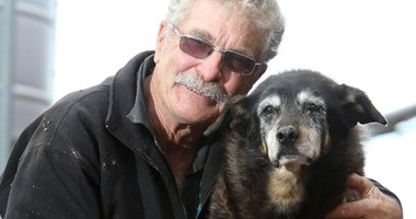موقع فرنسى: وفاة "ماجى" أكبر كلبة معمرة فى العالم عن عمر 30 عاما