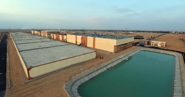 سكرتير عام جنوب سيناء: إنشاء 4 خزانات لحل أزمة المياه بالمحافظة