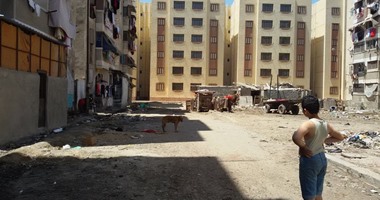 حملة مكبرة للقضاء على الكلاب الضالة بمنطقة الأمل الجديدة فى بورسعيد