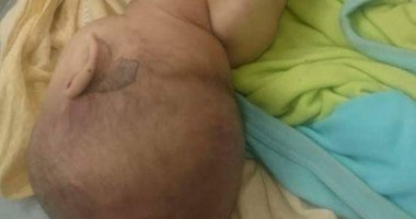 العثور على جثة طفل حديث الولادة داخل عقار سكنى بمدينة الزقازيق بالشرقية