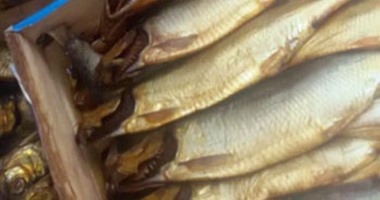 "التموين":فتح منافذ لتسويق الأسماك بشم النسيم..وكيلو الرنجة بـ21 جنيهاً