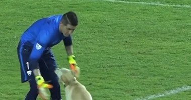 بالفيديو.. كلب يقتحم مباراة بكأس الليبرتادوريس