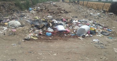 صحافة المواطن.. القمامة تحاصر كفر كردى بالقليوبية والأهالى يستغيثون