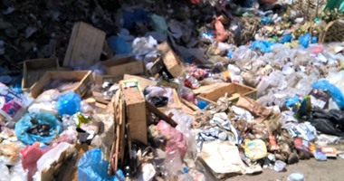 شكوى من تراكم القمامة بجوار مستشفى الحميات والمعهد الصحى فى الإسكندرية