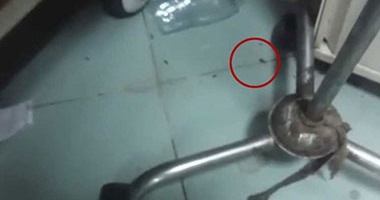 بالفيديو.. "صراصير" داخل قسم الباطنة بمستشفى أسوان الجامعى
