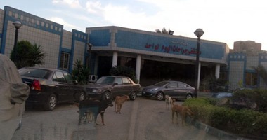 صحافة المواطن:قارئ يرصد تجول كلاب داخل مستشفى جراحات اليوم الواحد فى الزاوية الحمراء