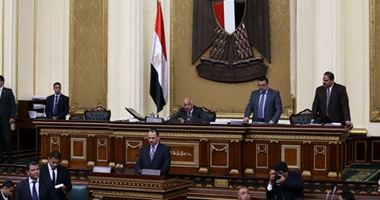 منى شبراوى: الجنة البرلمانية رصدت مشاكل ومطالب أهالى أسوان والنوبة