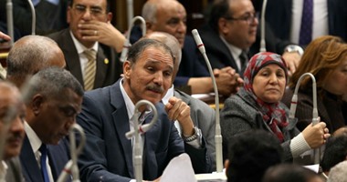 صلاح عفيفى يطالب بتشكيل لجنة من البرلمان لمتابعة تنفيذ المشروعات بالنوبة
