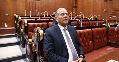 رئيس لجنة حقوق الإنسان بالبرلمان: سنطلب لقاء السيسى لتحسين صورة مصر بالخارج
