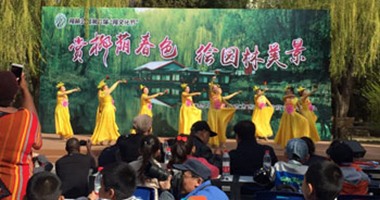 بالصور.. الصينيون يحتفلون بعيد طرد الأشباح بزرع الأشجار وزيارة المقابر