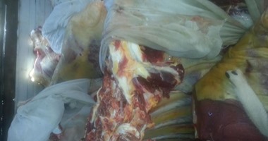 بالصور.. مباحث تموين الدقهلية تضبط لحومًا مذبوحة خارج المجازر