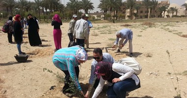 وزارة البيئة تسلم 200 شجرة زيتون لجامعة حلوان