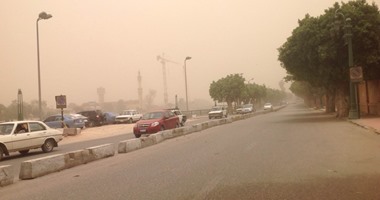 عواصف رملية تجتاح محافظة الغربية وسقوط بعض الأشجار على الطرق