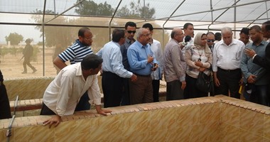وزير الزراعة يتفقد مزارع الزيتون ومحاصيل الطاقة بجنوب سيناء