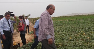 غدا.. وزير الزراعة يسلم 150 عقد تملك أراض بالفيوم