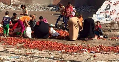 تداول صورة لمواطنين يجمعون الطماطم الفاسدة من مقلب قمامة بالمحلة