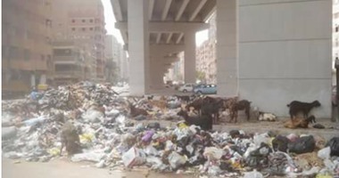 "واتس آب اليوم السابع": انتشار القمامة أسفل محور مؤسسة الزكاة